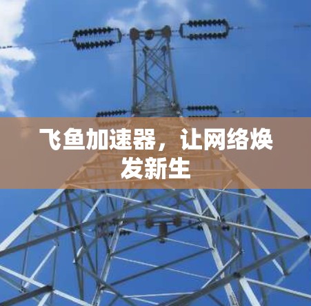 飞鱼加速器，让网络焕发新生