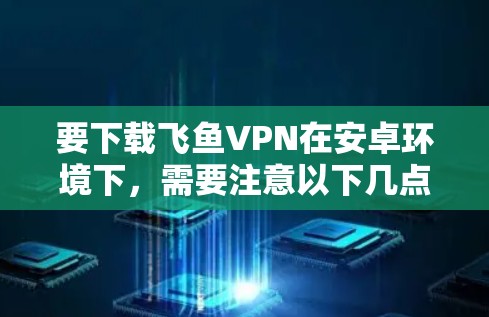要下载飞鱼VPN在安卓环境下，需要注意以下几点