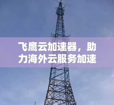 飞鹰云加速器，助力海外云服务加速