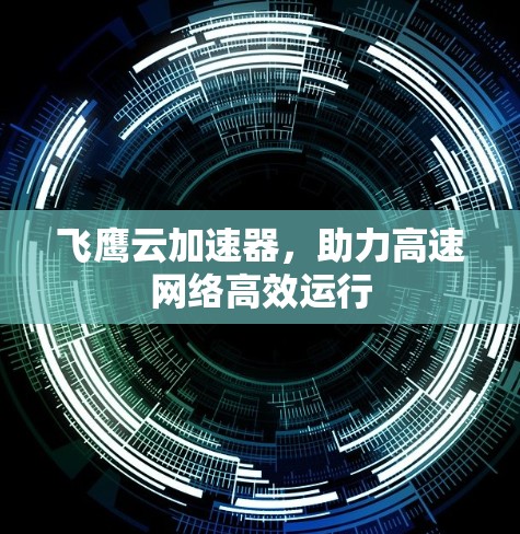 飞鹰云加速器，助力高速网络高效运行