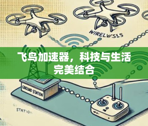 飞鸟加速器，科技与生活完美结合