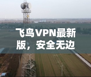 飞鸟VPN最新版，安全无边界的畅游之门