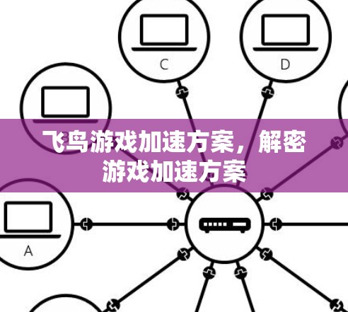 飞鸟游戏加速方案，解密游戏加速方案