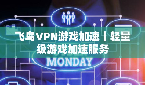 飞鸟VPN游戏加速｜轻量级游戏加速服务
