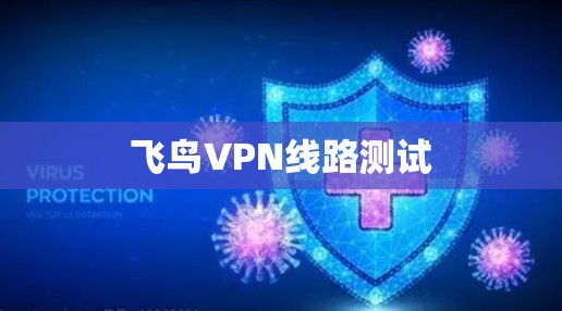 飞鸟VPN线路测试