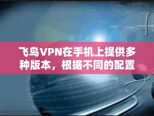 飞鸟VPN在手机上提供多种版本，根据不同的配置和需求，用户可以找到最适合自己的版本。以下是飞鸟VPN在手机上常见的版本类型和设置