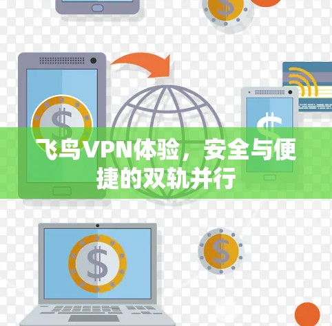飞鸟VPN体验，安全与便捷的双轨并行