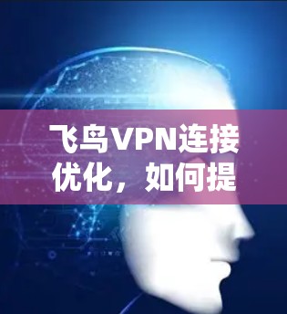 飞鸟VPN连接优化，如何提升网络连接效率与安全性