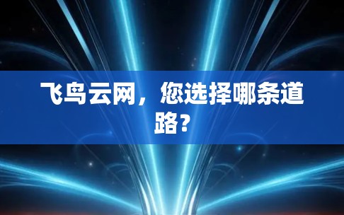飞鸟云网，您选择哪条道路？