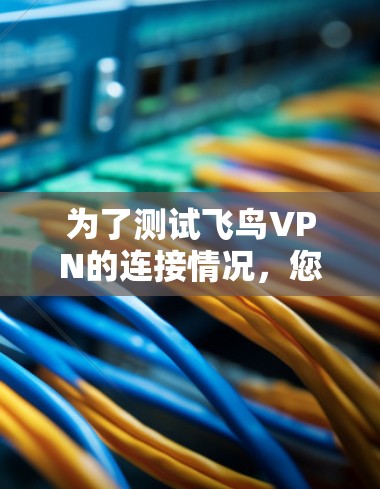 为了测试飞鸟VPN的连接情况，您可以按照以下步骤操作