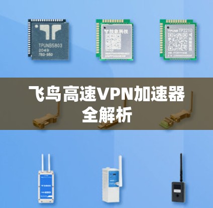 飞鸟高速VPN加速器全解析