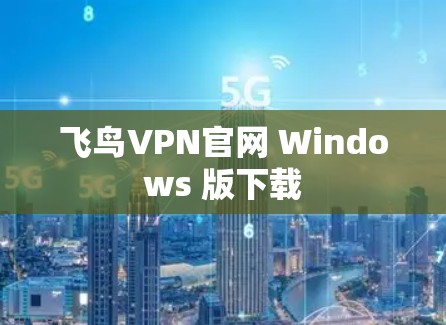飞鸟VPN官网 Windows 版下载