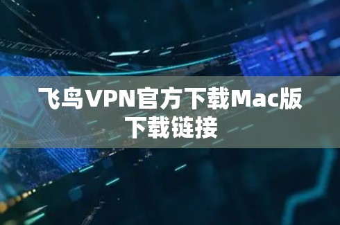 飞鸟VPN官方下载Mac版下载链接