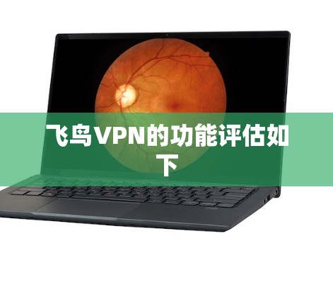 飞鸟VPN的功能评估如下