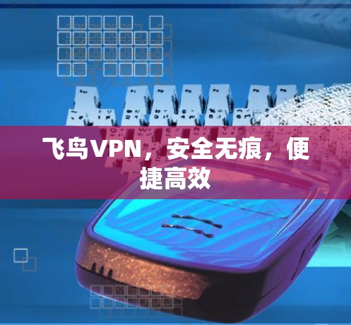 飞鸟VPN，安全无痕，便捷高效
