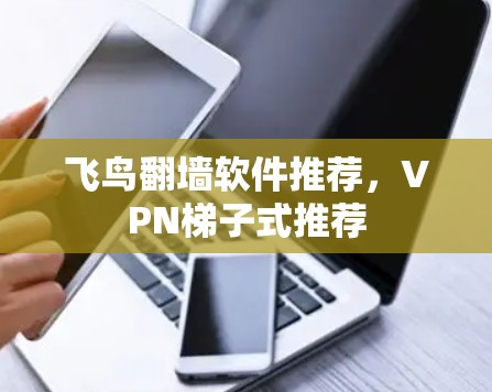 飞鸟翻墙软件推荐，VPN梯子式推荐