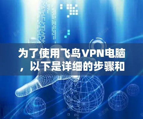 为了使用飞鸟VPN电脑，以下是详细的步骤和注意事项