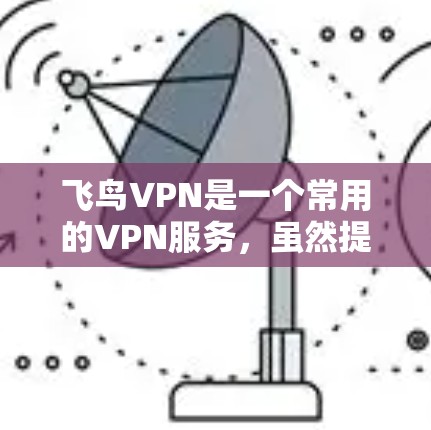 飞鸟VPN是一个常用的VPN服务，虽然提供了一定的安全性，但用户在使用过程中仍需注意以下几个关键问题和解决方案
