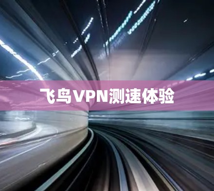 飞鸟VPN测速体验