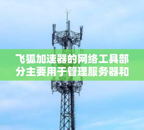 飞狐加速器的网络工具部分主要用于管理服务器和配置，以下是具体的步骤和指南