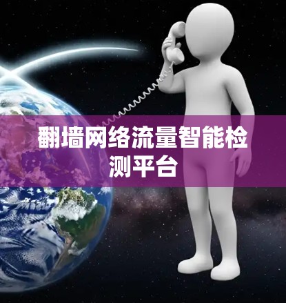 翻墙网络流量智能检测平台