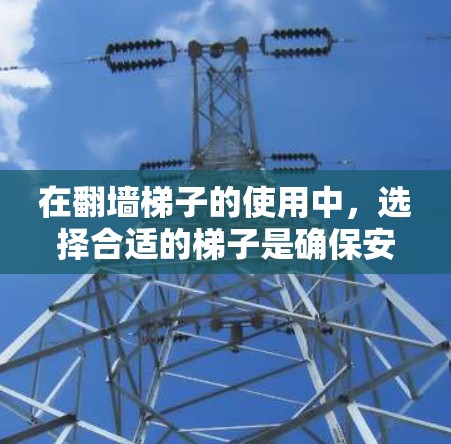 在翻墙梯子的使用中，选择合适的梯子是确保安全和效率的关键。以下是对这一问题的分步说明