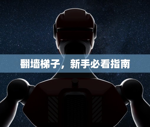 翻墙梯子，新手必看指南
