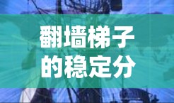 翻墙梯子的稳定分析涉及多个物理力学概念，包括梯子的受力、倾斜角度的影响、摩擦力以及静力学分析。以下是详细的分析过程