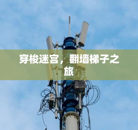 穿梭迷宫，翻墙梯子之旅