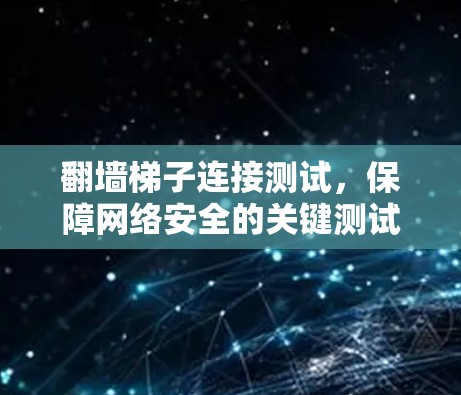 翻墙梯子连接测试，保障网络安全的关键测试