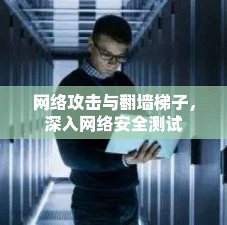 网络攻击与翻墙梯子，深入网络安全测试