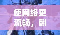 使网络更流畅，翻墙软件的高效优化