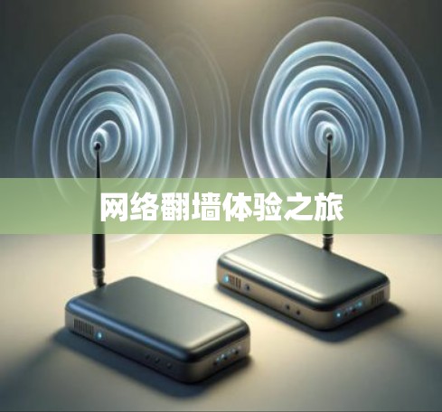 网络翻墙体验之旅