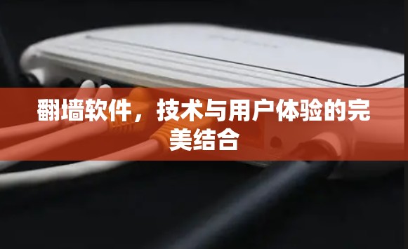 翻墙软件，技术与用户体验的完美结合