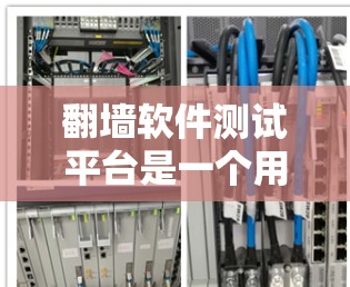 翻墙软件测试平台是一个用于测试和验证翻墙软件功能的在线平台。以下是关于翻墙软件测试平台的详细介绍