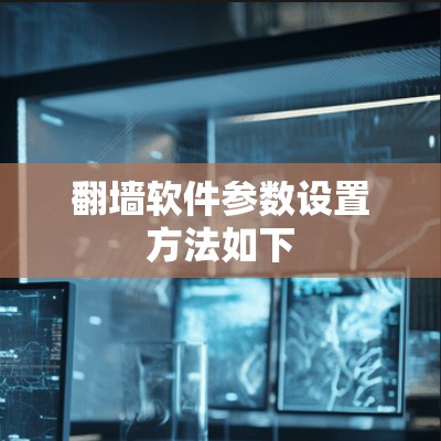 翻墙软件参数设置方法如下