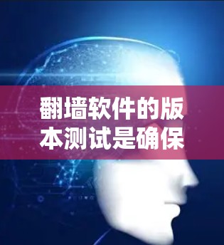 翻墙软件的版本测试是确保软件在不同版本和配置下运行正常的关键步骤。以下是一个详细的步骤指南，帮助你进行有效的版本测试