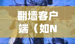 翻墙客户端（如Netmask Client）的性能测试可以帮助你了解其在不同环境下的稳定性、响应时间和资源消耗。以下是一些常用的测试方法和步骤，帮助你全面评估该客户端的速度