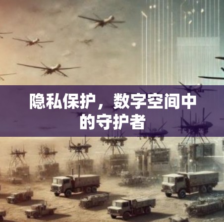 隐私保护，数字空间中的守护者