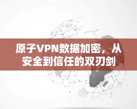 原子VPN数据加密，从安全到信任的双刃剑