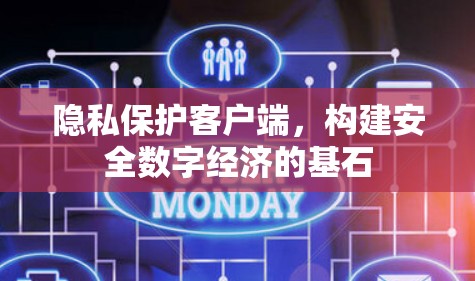 隐私保护客户端，构建安全数字经济的基石