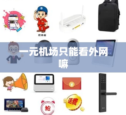 一元机场只能看外网嘛