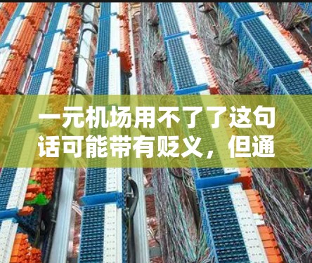 一元机场用不了了这句话可能带有贬义，但通常这种表达可能是指机场存在一些问题，比如拥挤、设施不完善等。如果你是用户，可能需要了解如何改善机场的环境或设施。以下是一些建议