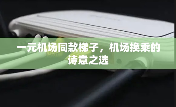 一元机场同款梯子，机场换乘的诗意之选