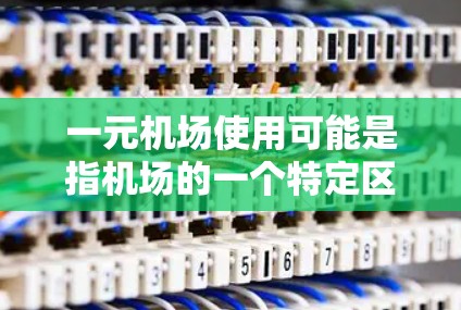 一元机场使用可能是指机场的一个特定区域或设施的使用情况。以下是一些可能的解释