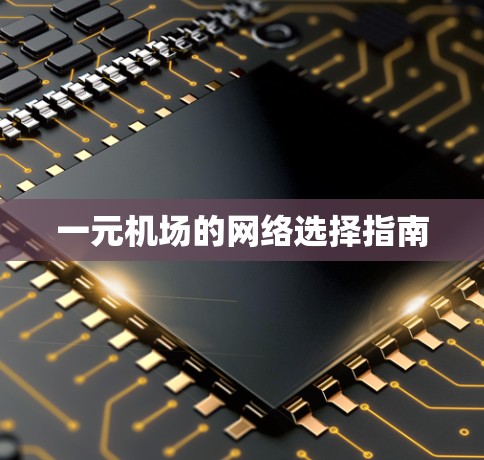 一元机场的网络选择指南