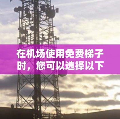 在机场使用免费梯子时，您可以选择以下几种类型