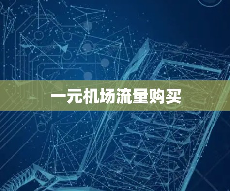 一元机场流量购买