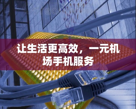 让生活更高效，一元机场手机服务