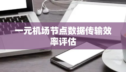 一元机场节点数据传输效率评估
